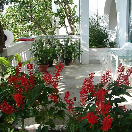 Apartment Sonja - 100 M From Sea *